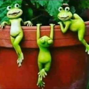 Meet your Posher, Lana